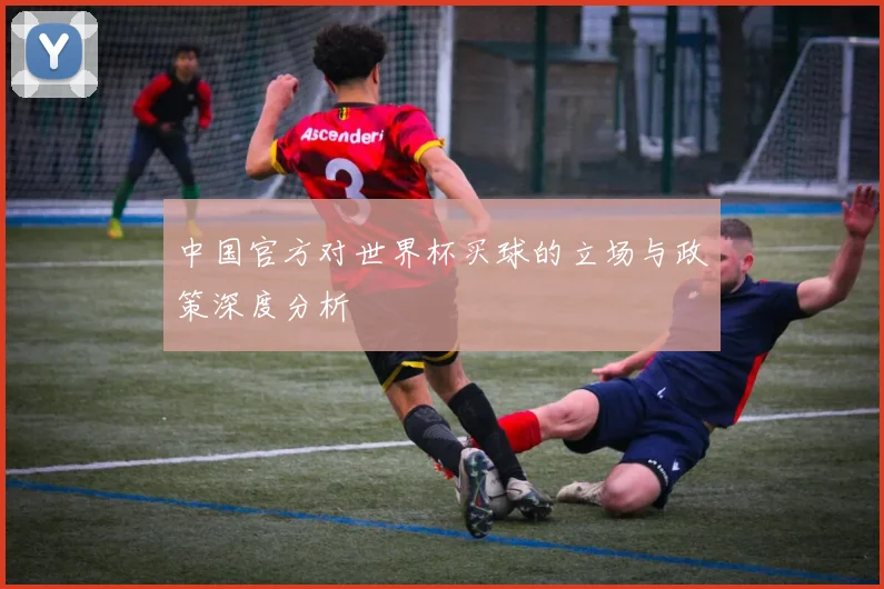 中国官方对世界杯买球的立场与政策深度分析