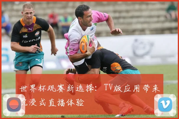 世界杯观赛新选择：TV版应用带来沉浸式直播体验