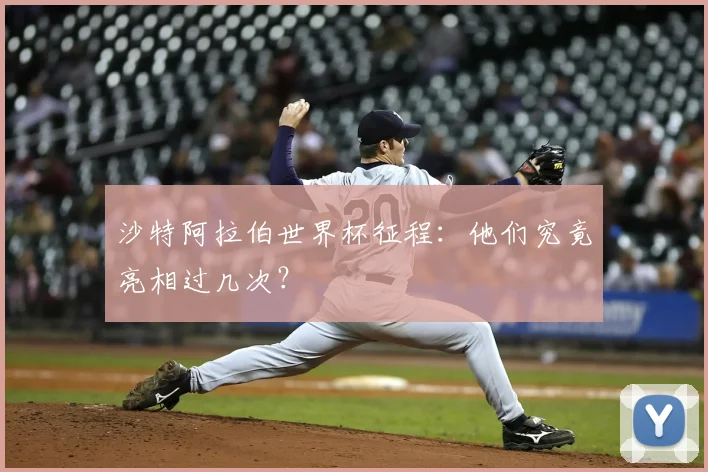 沙特阿拉伯世界杯征程:他们究竟亮相过几次?