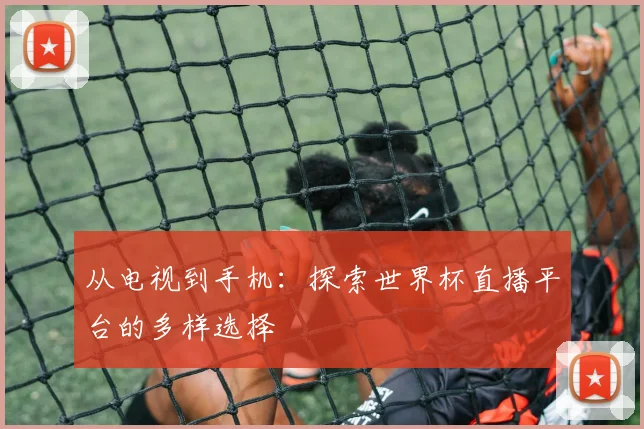 从电视到手机:探索世界杯直播平台的多样选择