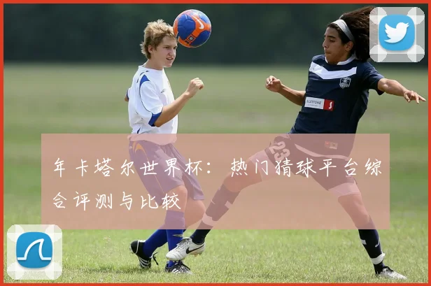 年卡塔尔世界杯：热门猜球平台综合评测与比较