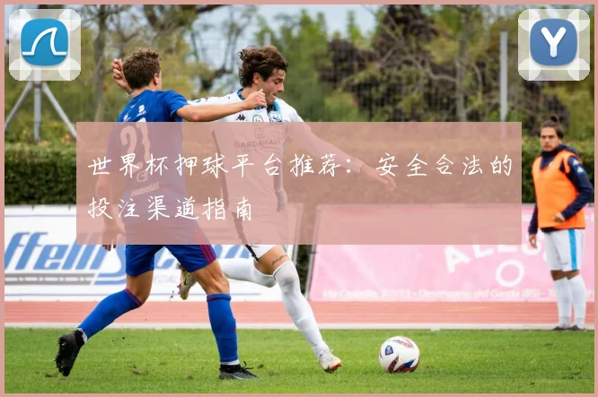 世界杯押球平台推荐:安全合法的投注渠道指南