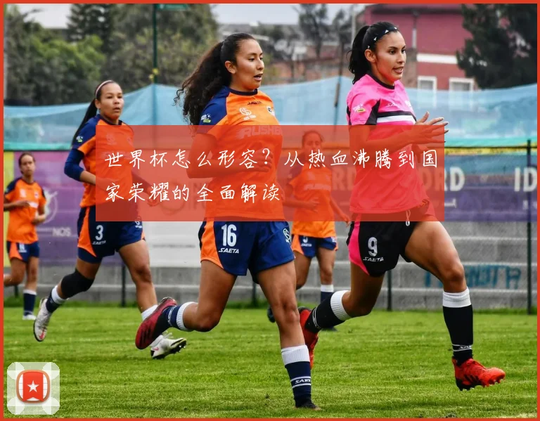 世界杯怎么形容?从热血沸腾到国家荣耀的全面解读