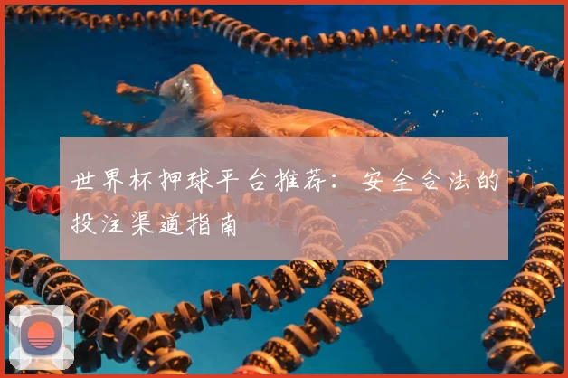 世界杯押球平台推荐:安全合法的投注渠道指南