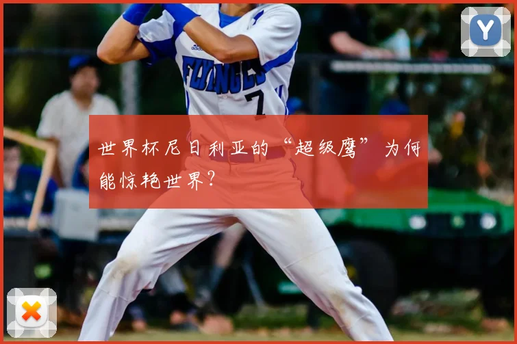 世界杯尼日利亚的“超级鹰”为何能惊艳世界?