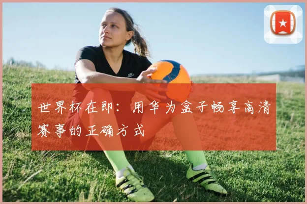 世界杯在即:用华为盒子畅享高清赛事的正确方式