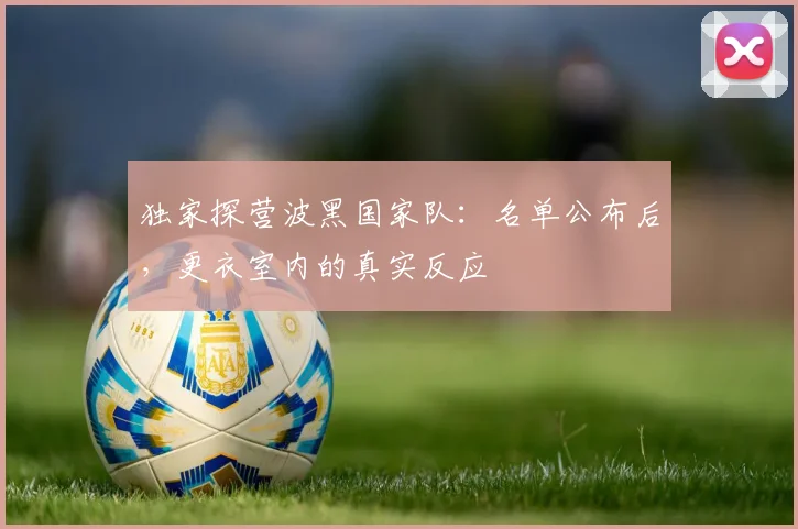 独家探营波黑国家队:名单公布后,更衣室内的真实反应