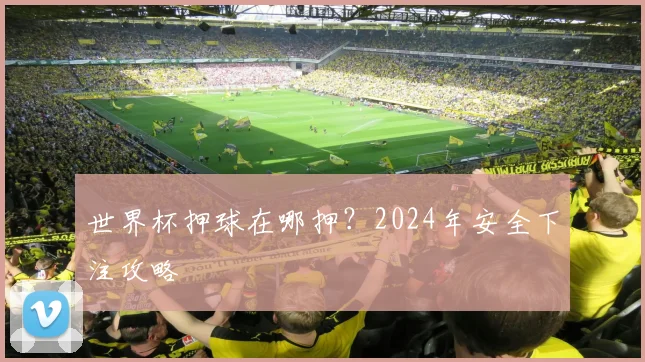 世界杯押球在哪押？2024年安全下注攻略