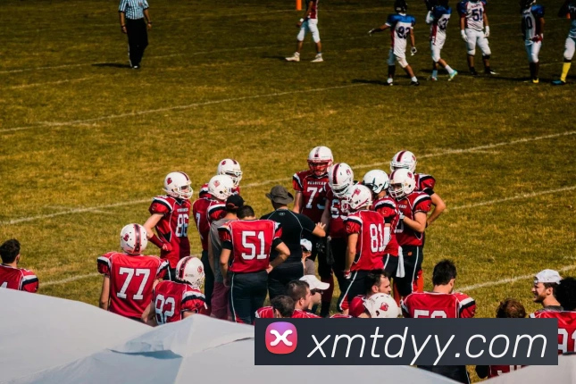 开云账号中心登录入口平台生态图